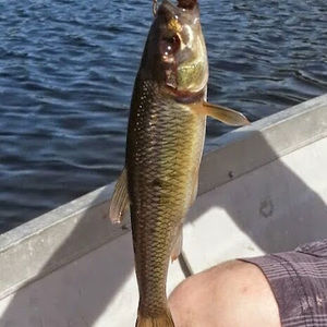 Meet your Posher, Eric